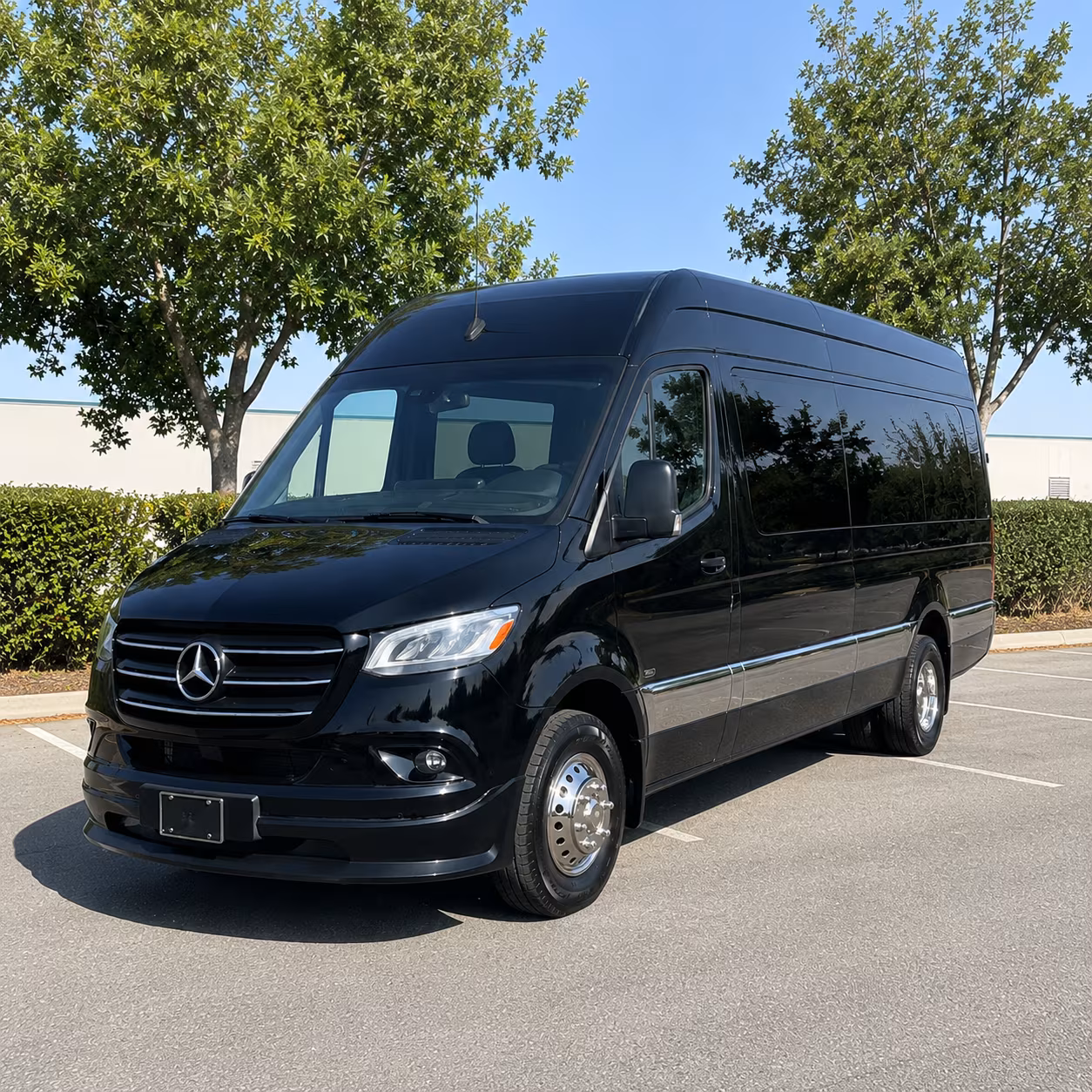 wedding and quinceanera buses for conroe celebrations